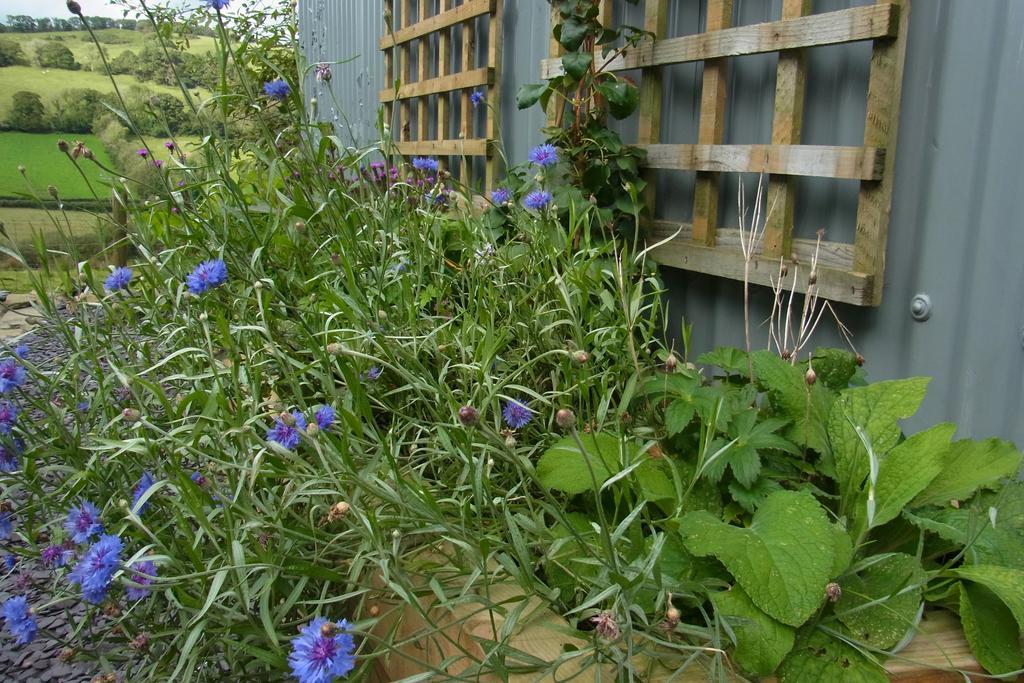 Rhiwiau Self Catering Villa Carmarthen Eksteriør billede
